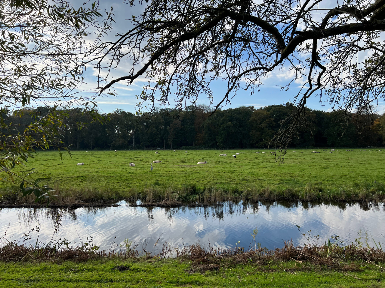 A view from my postal route